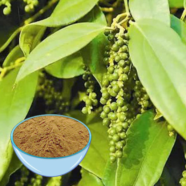 黒胡pepper抽出物
